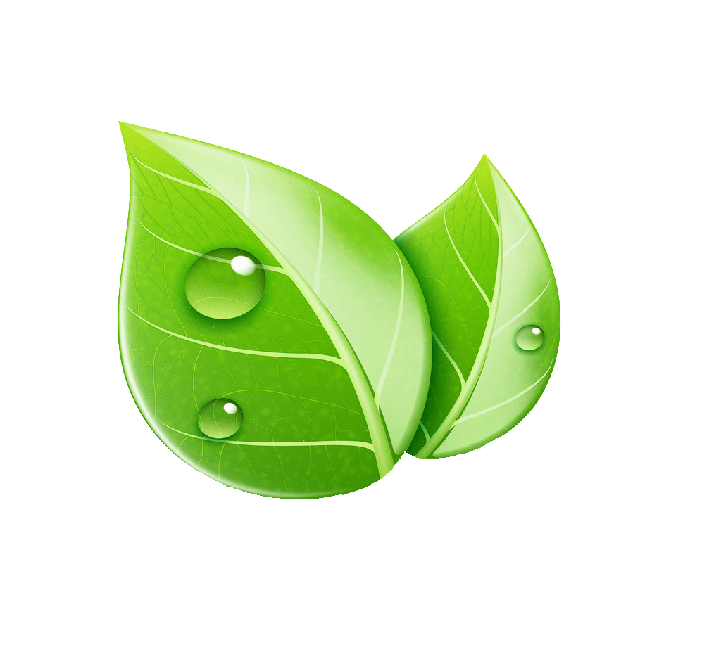 green leaf icon